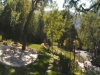 A panorama of the front yard shows the free flowing lawn surrounded by mostly green, fine-textured plants for a calm and naturalistic effect. A few red foliaged plants such as a red Canna lily provide some visual sparks.